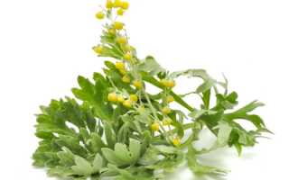 Лечение папилломы человека народными средствами