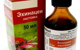 Как принимать настойку эхинацеи для укрепления иммунитета?