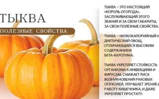 Лечебные свойства тыквы