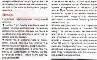 Лечебные свойства плодов шиповника