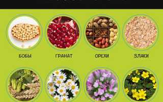 Диета для груди