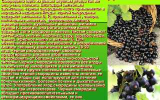 Чем так полезна красная смородина?