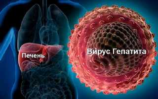 Что за болезнь —  гипатит С