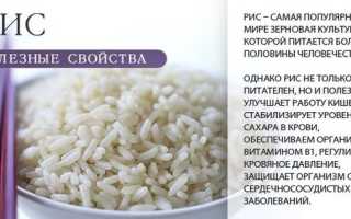 Полезные свойства риса