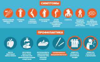 Профилактика в период эпидемии