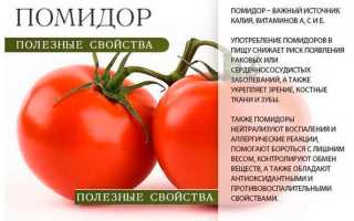 Польза помидор