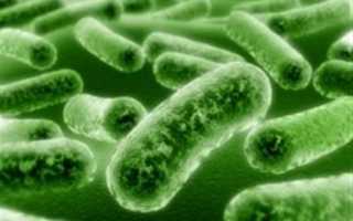 Профилактика и лечение грибковых инфекций