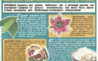 Народные рецепты для здоровья суставов