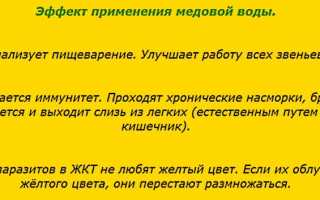 В чем польза медовой воды?