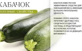 Польза кабачков для человека