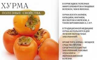 Лечебные свойства хурмы-финиковой сливы