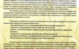 Чем козье молоко полезнее коровьего?