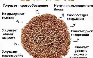 Чем полезна гречка?