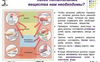 Правильный рацион здорового питания