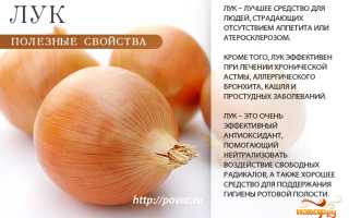 Замечательные целебные свойства репчатого лука