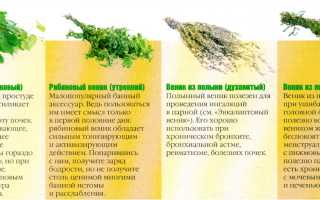 Правильная и полезная баня