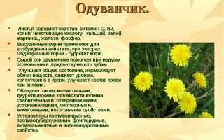 Целебные свойства одуванчика по Неумывакину И. П.
