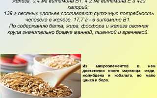 Чем полезен овес?