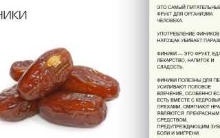 Чем полезны финики для организма?