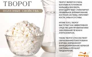 Огромная польза творога для организма