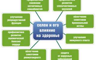 Важные микроэлементы селен и цинк