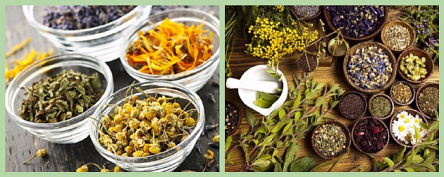 Лекарственные травы