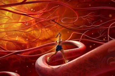 Очистка сосудов народными средствами