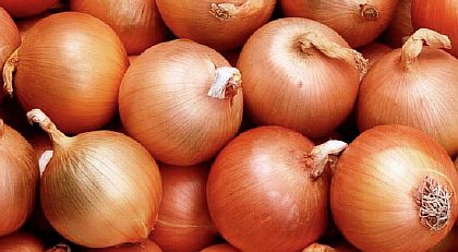 Репчатый лук лечит перхоть