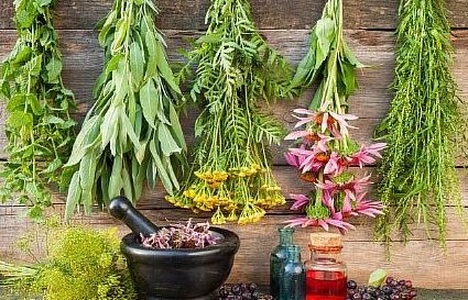 Чистка сосудов лекарственными травами