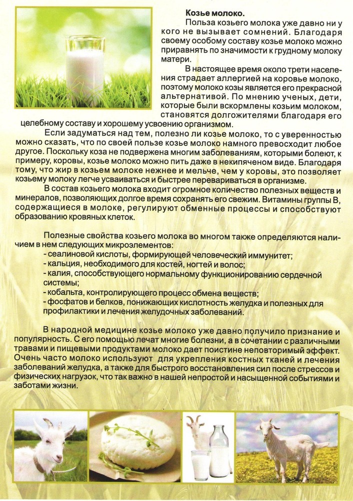 Козье молоко