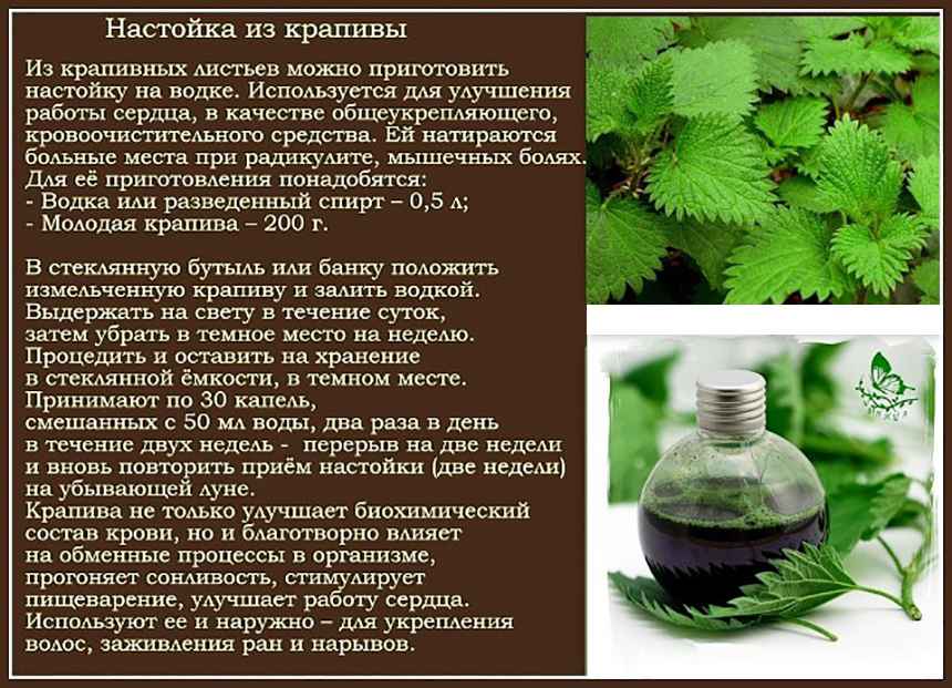 Лечебная настойка