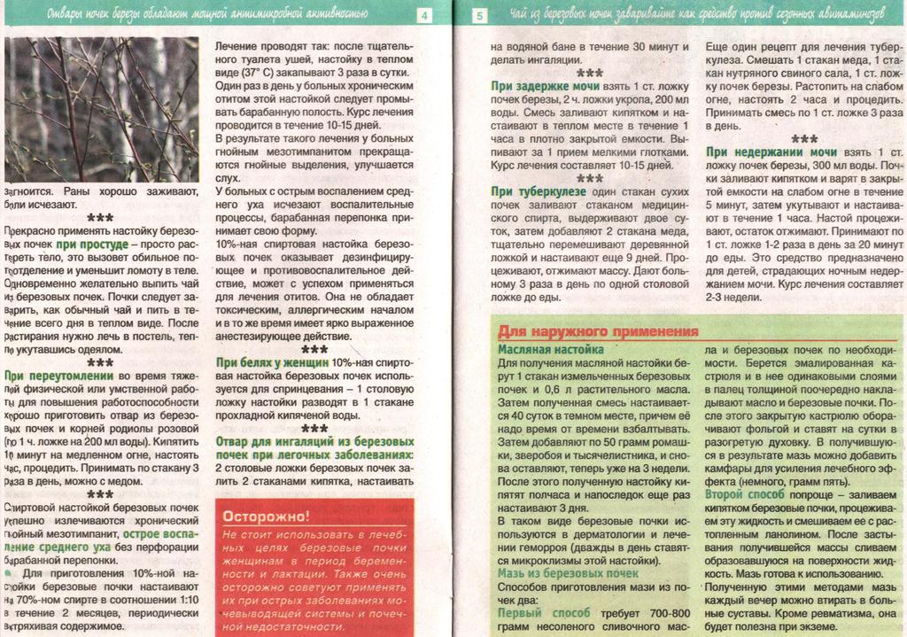 Лечение березой