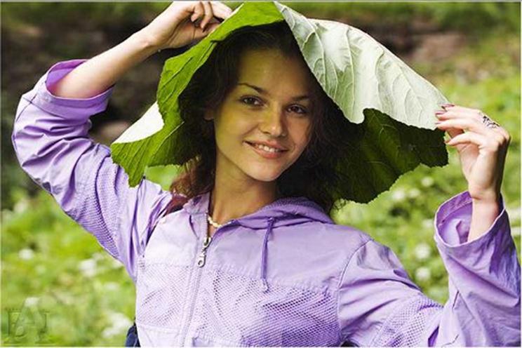 Лопух свойства