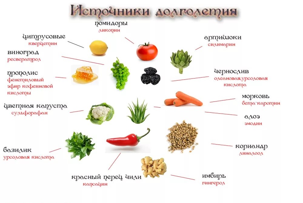 молодость и долголетие
