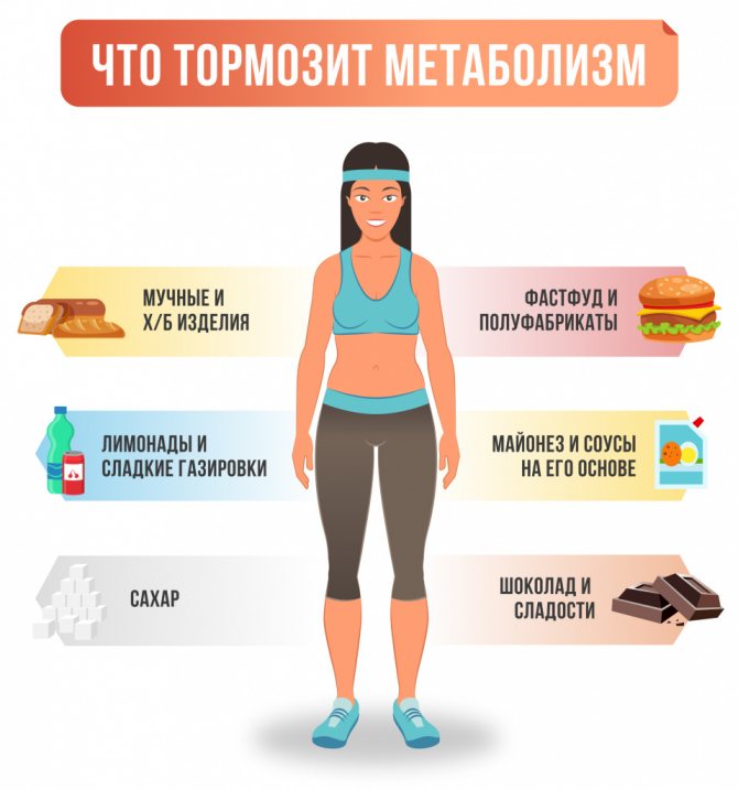 Что мешает нормальному обмену веществ? Обмен веществ