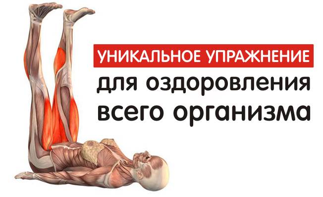 Оздоровление организма