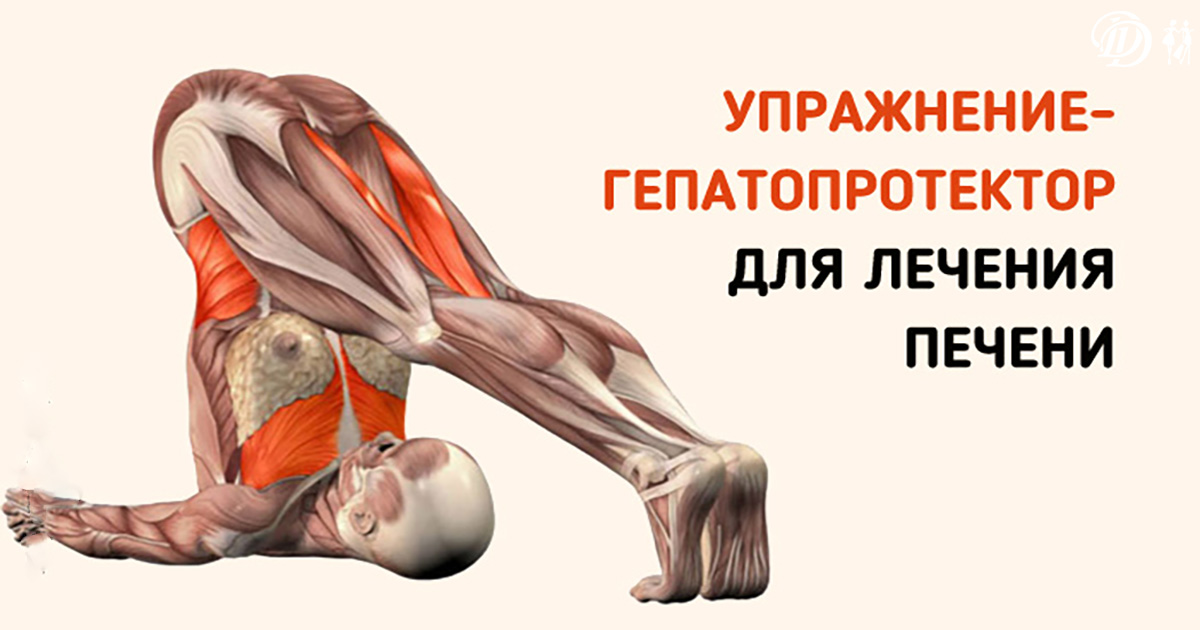 Оздоровление организма