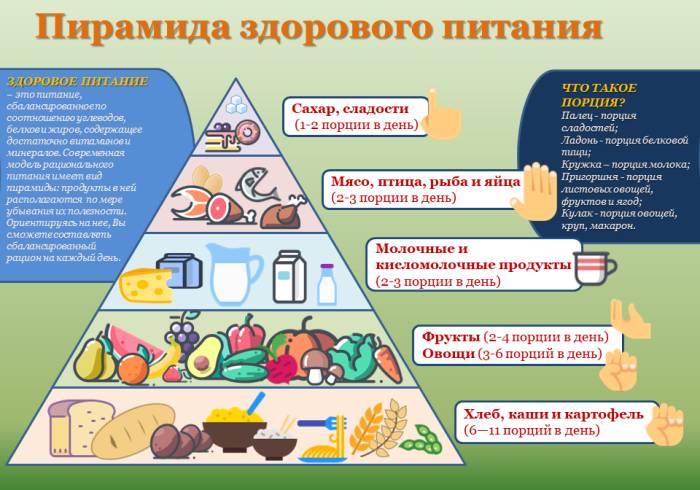 Пищевая пирамида