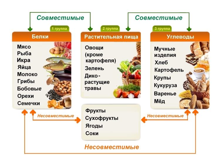 Питание по Шелтону