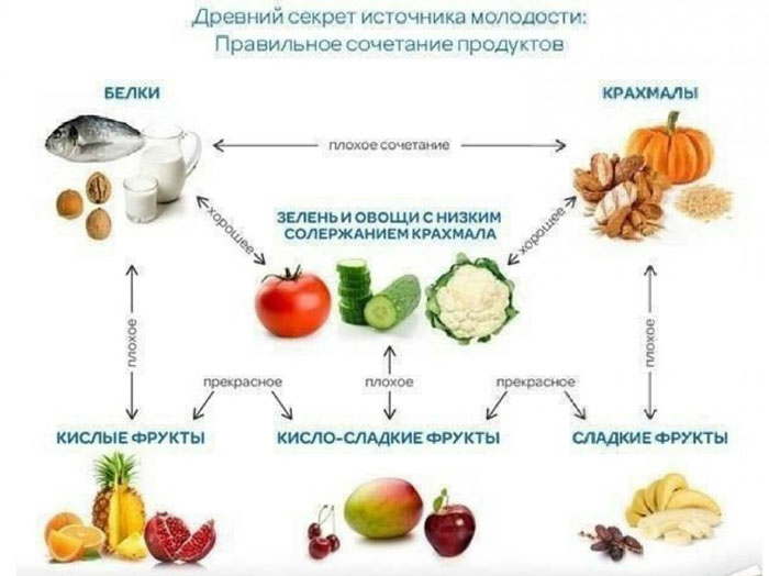 Питание по Шелтону
