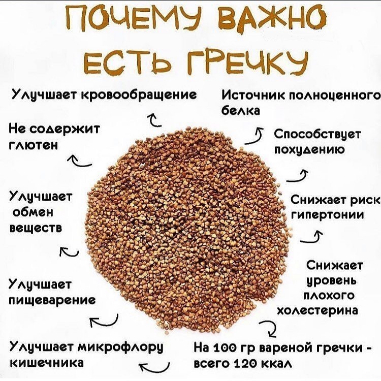Полезная гречка
