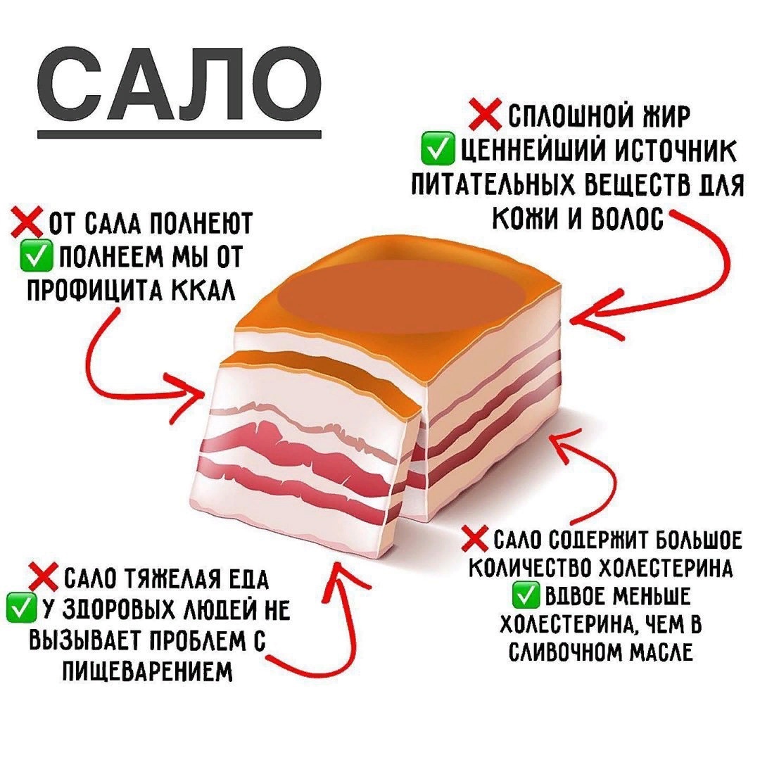 Полезное сало