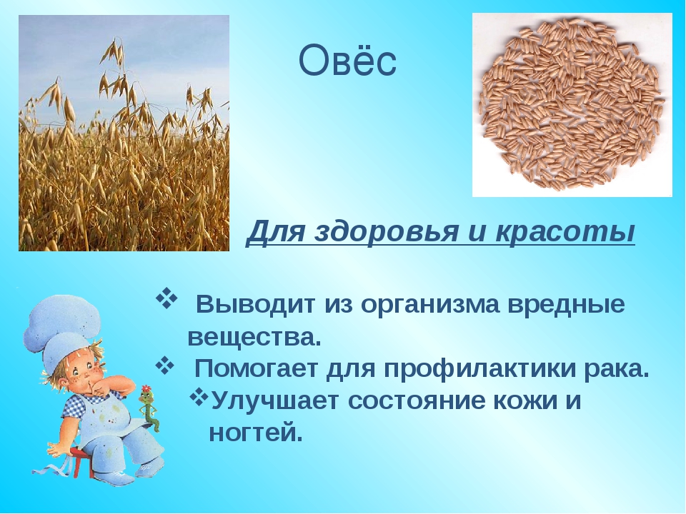 Польза овса