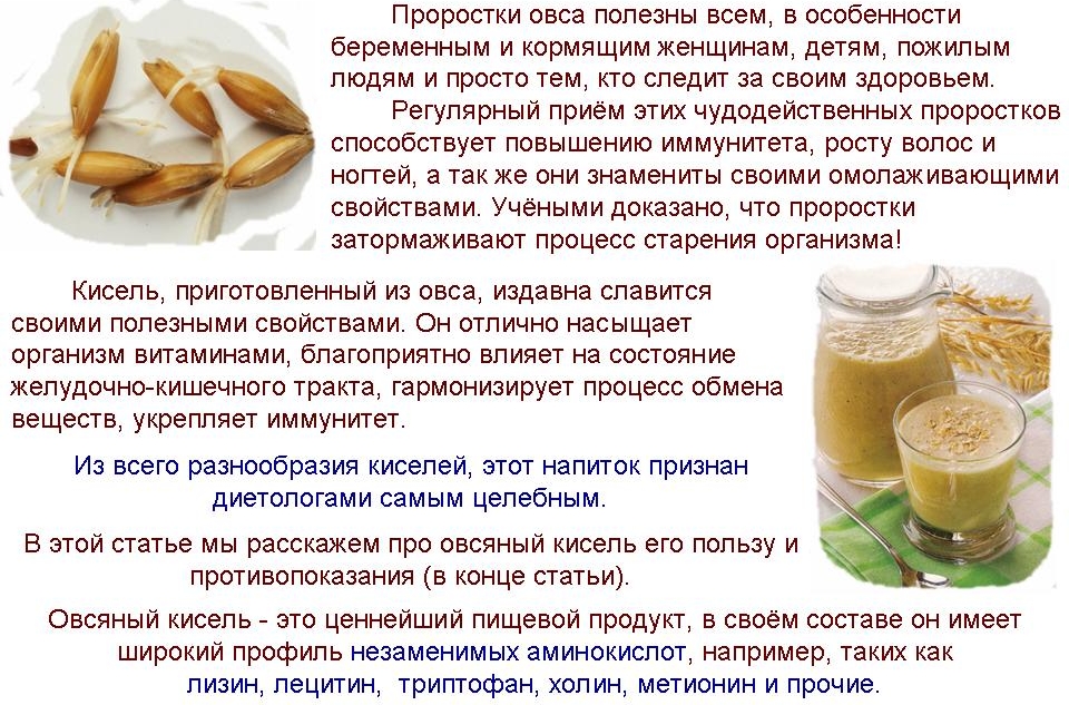 Польза овса
