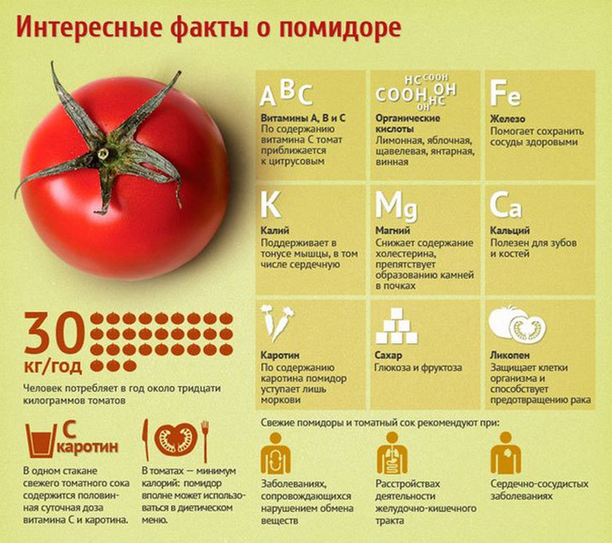 Польза помидор