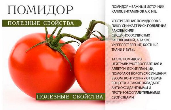 Польза помидор