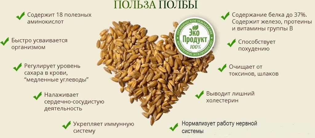 Польза пшеницы