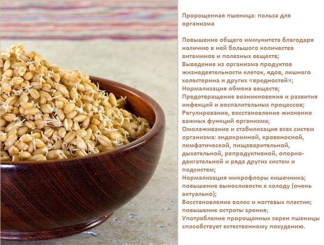 Польза пшеницы
