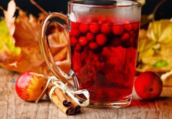 Польза шиповника