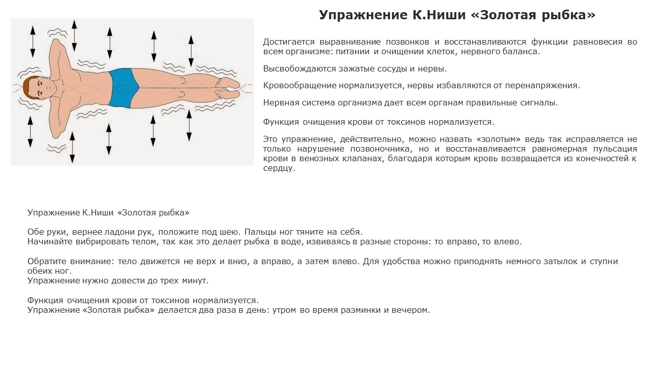 Правила Ниши